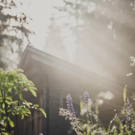 Hébergement de vacances Ramenai - Boehmerwaldlerdorf