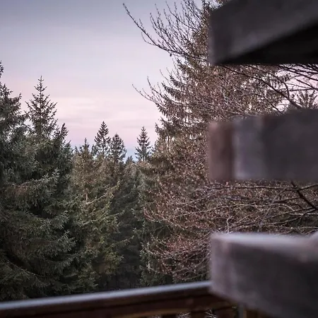 Hébergement de vacances Ramenai - Boehmerwaldlerdorf *