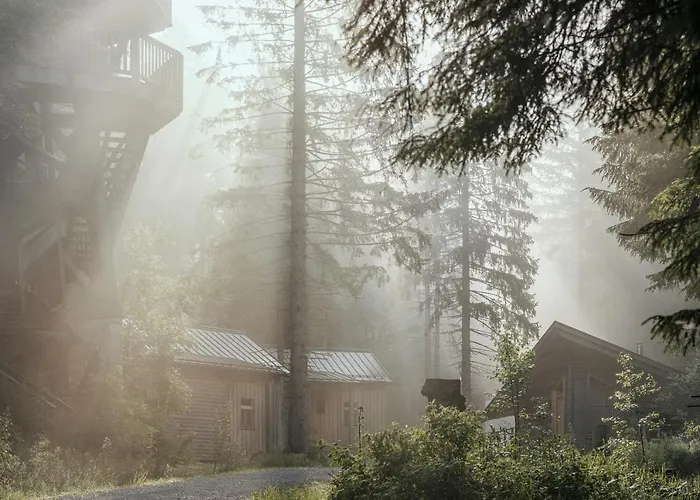 Prázdninový dům Ramenai - Boehmerwaldlerdorf Ulrichsberg