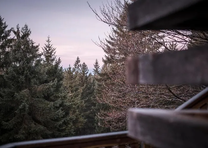 Prázdninový dům Ramenai - Boehmerwaldlerdorf *