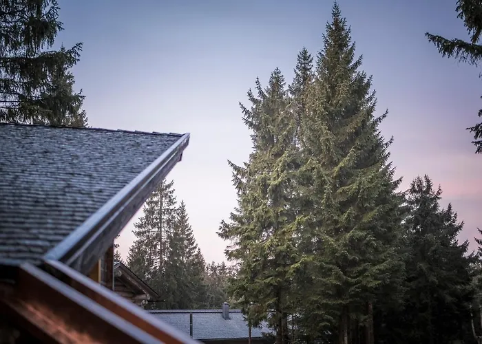 Ramenai - Boehmerwaldlerdorf * Ulrichsberg