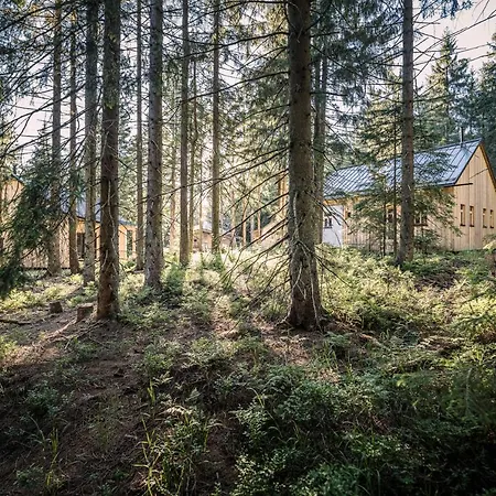 Ramenai - Boehmerwaldlerdorf Holiday home Ulrichsberg