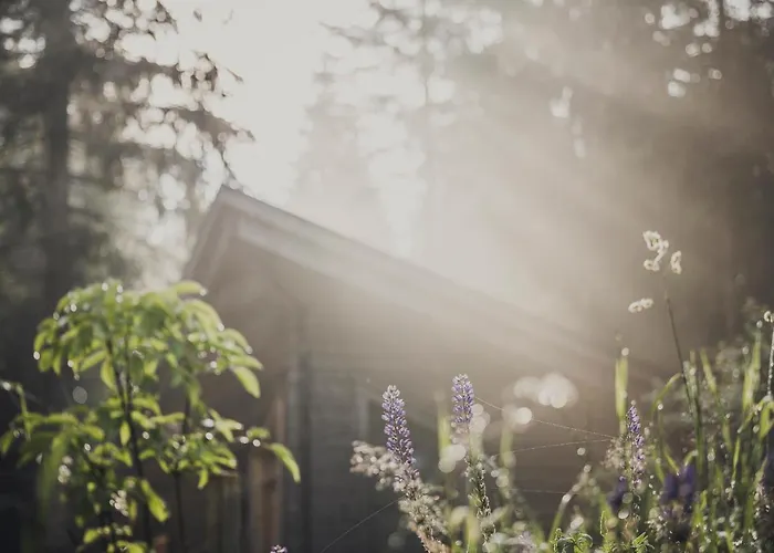 Σπίτι διακοπών Ramenai - Boehmerwaldlerdorf