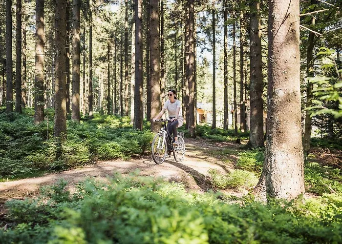Ramenai - Boehmerwaldlerdorf